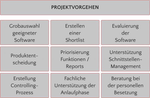 Projektvorgehen